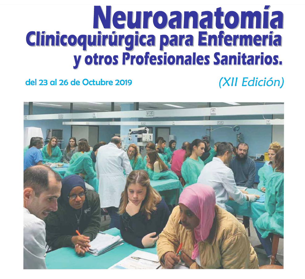 curso neuroanatomia 23 26 octubre 2019